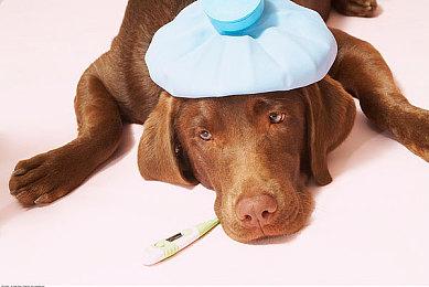 任天堂表示《马里奥赛车：世界》赛道数量超过100条